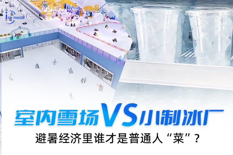 室内雪场VS小制冰厂，避暑经济里谁才是普通人“菜”？